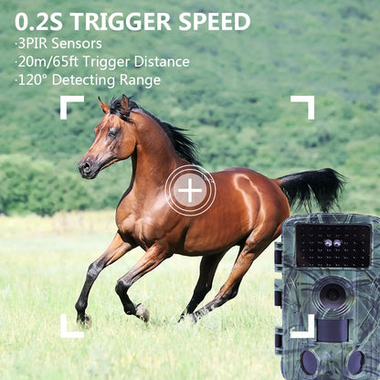 Live Show 4K Trail Camera – Capture Wildlife in Unmatched Detail!